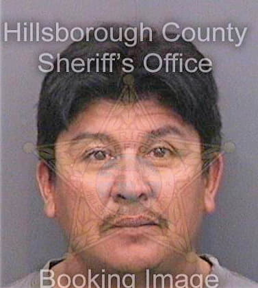 Guerrero Mario - Hillsborough County, FL 