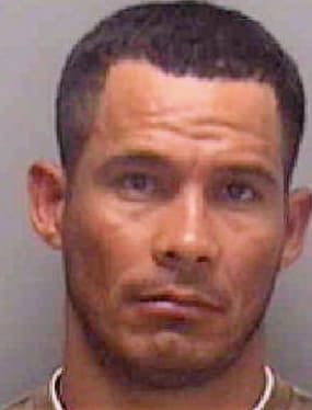 Hernandez-Vega Leosdany - Lee County, FL 