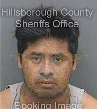 Perezlopez Mario - Hillsborough County, FL 