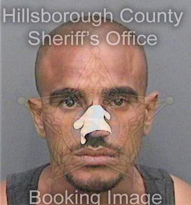 Gonzalez Rene - Hillsborough County, FL 