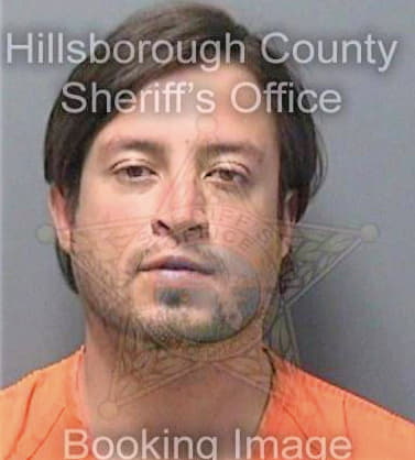 Martinez Eleazar - Hillsborough County, FL 