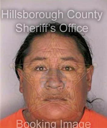 Hernandez Filberto - Hillsborough County, FL 
