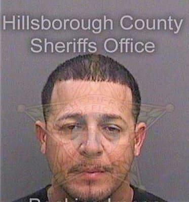 Febussantiago Edwin - Hillsborough County, FL 