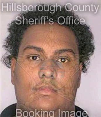 Garcia Felix - Hillsborough County, FL 