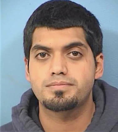 Hernandez Mike - DuPage County, IL 