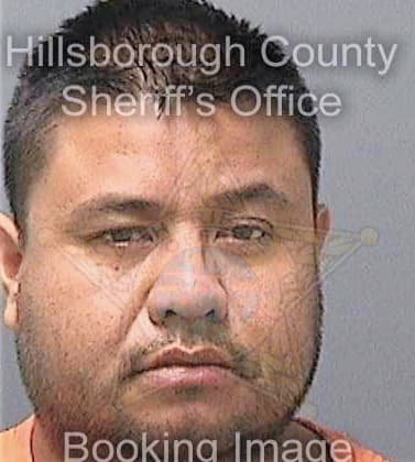 Salazaralmazan Jose - Hillsborough County, FL 