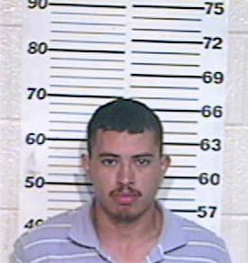 Hernandez Victor - Hidalgo County, TX 