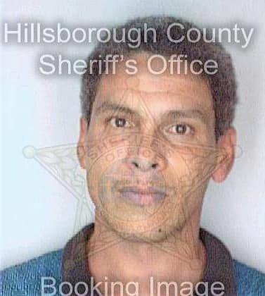 Vargas Carlos - Hillsborough County, FL 