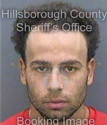 Feliciano Francisco - Hillsborough County, FL 