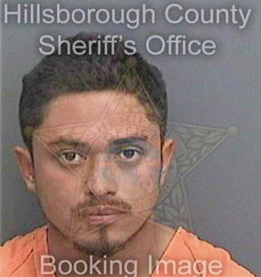 Mezagutierrez Erick - Hillsborough County, FL 