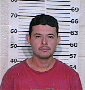 Trevino Jesus - Hidalgo County, TX 