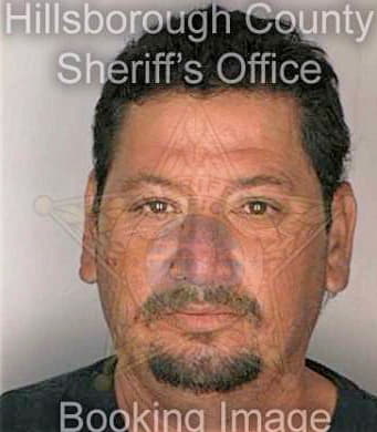 Ramirez Gerardo - Hillsborough County, FL 