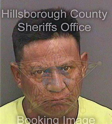 Gonzalezlopez Martiano - Hillsborough County, FL 