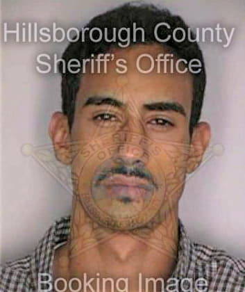 Vega Carlos - Hillsborough County, FL 