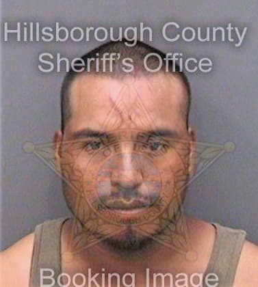 Sanjuanjose Joel - Hillsborough County, FL 