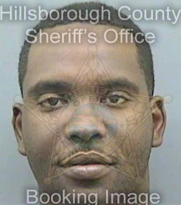 Pough Sergio - Hillsborough County, FL 