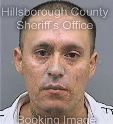 Rangel Raul - Hillsborough County, FL 