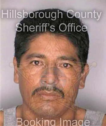 Gordillo Triniad - Hillsborough County, FL 