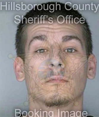 Singletary Wesley - Hillsborough County, FL 
