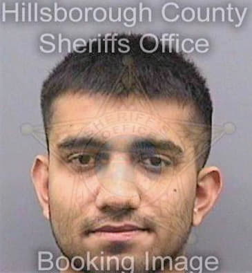 Patel Mayur - Hillsborough County, FL 