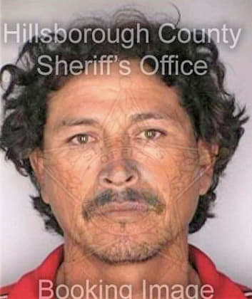 Silosmelendez Juan - Hillsborough County, FL 