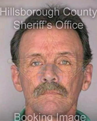 Sims Paul - Hillsborough County, FL 