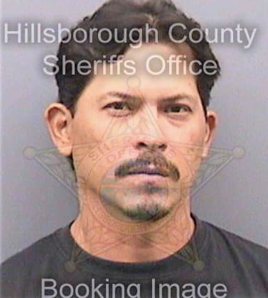 Maldonadodiaz Ricardo - Hillsborough County, FL 