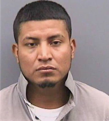 Ramirez Dilver - Hillsborough County, FL 