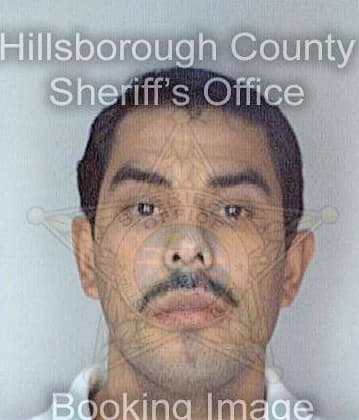 Diaz Luis - Hillsborough County, FL 