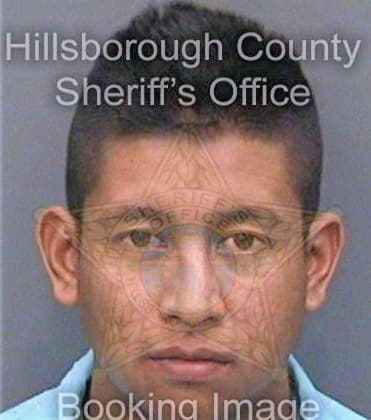 Chavezgomez Luis - Hillsborough County, FL 