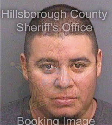 Fernandezmunoz Fidel - Hillsborough County, FL 