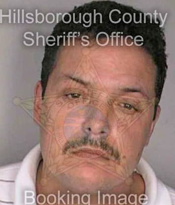 Gonzalez Richard - Hillsborough County, FL 