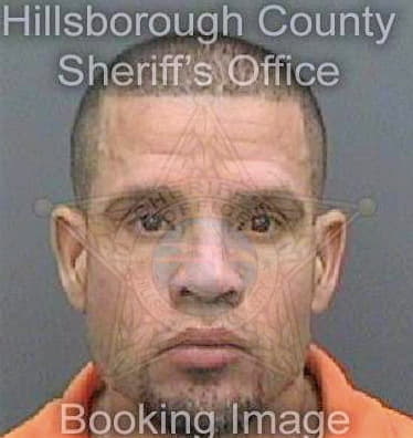 Besaresrosado Samuel - Hillsborough County, FL 