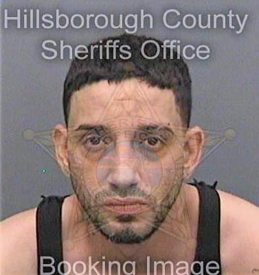 Santanatorres Jason - Hillsborough County, FL 