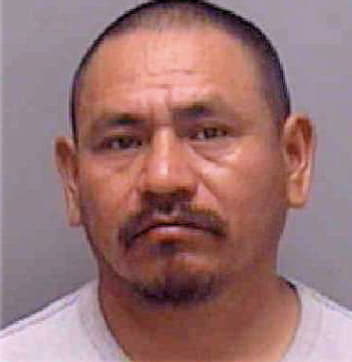 Carlos Juan - Lee County, FL 