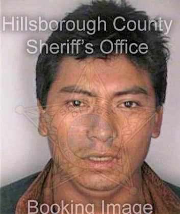 Lopezgomez Feliciano - Hillsborough County, FL 