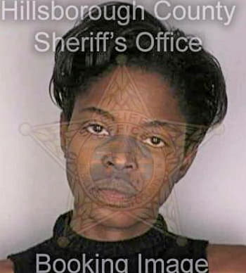 Simmons Cynthia - Hillsborough County, FL 