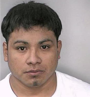 Mendez Artemio - Hillsborough County, FL 