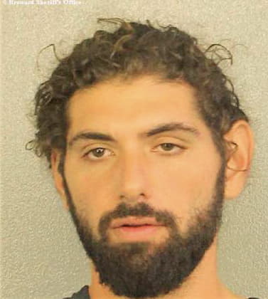 Ricciardi Charles - Broward County, FL 