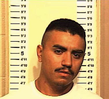 Hernandez David - Denton County, TX 