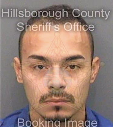 Lizaraso Renzo - Hillsborough County, FL 