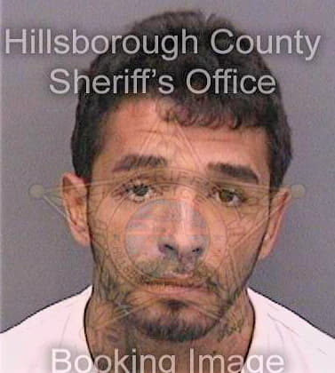 Diaz Miguel - Hillsborough County, FL 