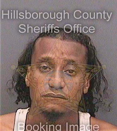 Guillen Luis - Hillsborough County, FL 