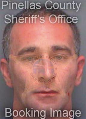 Horner David - Pinellas County, FL 