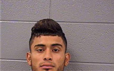 Sanchez-Ponce Andres - Cook County, IL 
