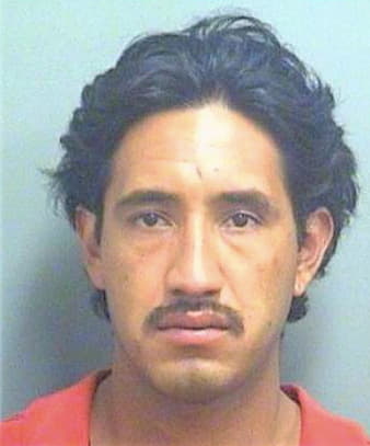 Hernandez Jacinto - PalmBeach County, FL 