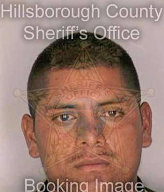 Borrera Antonio - Hillsborough County, FL 