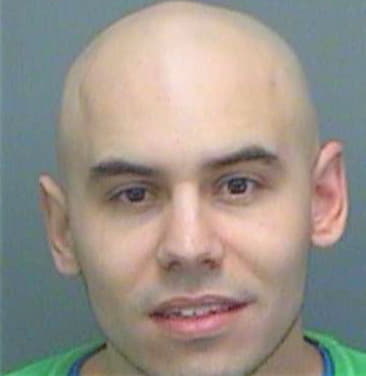 Sheldon David - Pinellas County, FL 