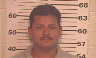 Hernandez Jose - Hidalgo County, TX 