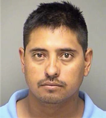 Delgado Octavio - Denton County, TX 